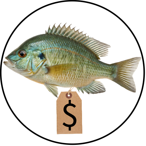 link to 2026 Fish sale information 